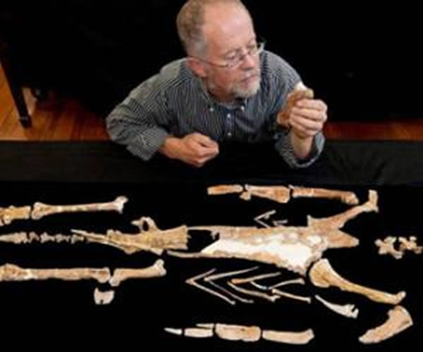 ����͢��ѧ�����ϼ���������3700������ǰ���߿ɴ�2�׵ġ�������족��ʯ