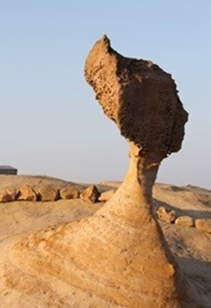 ̨��Ұ�����ʹ�԰Ů��ͷ���г��ڷ绯��ʴ