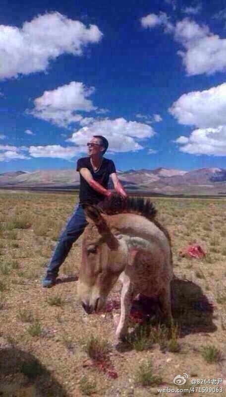 ��̬���ӻ�����һ�����������Ұ¿��ȡ��������ŭ