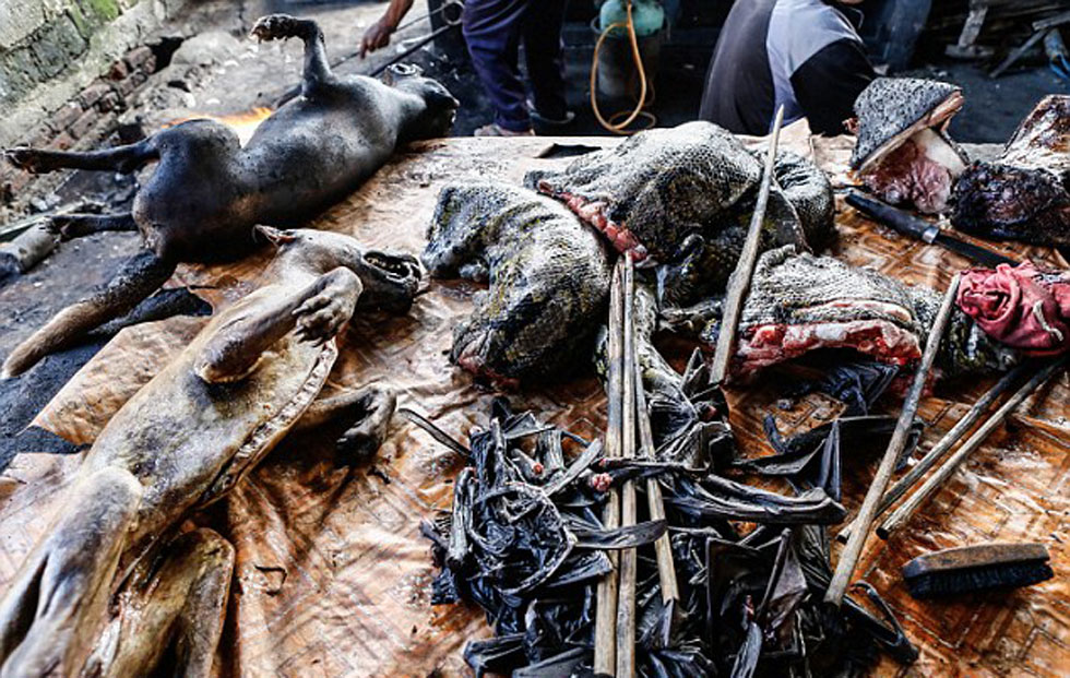 ȫ������ֲ����г�λ��ӡ�������������������������ɹ�ɳ