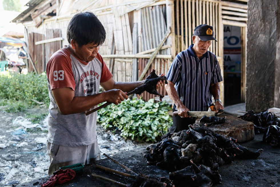 �������ڰ�����������������������տ��á�