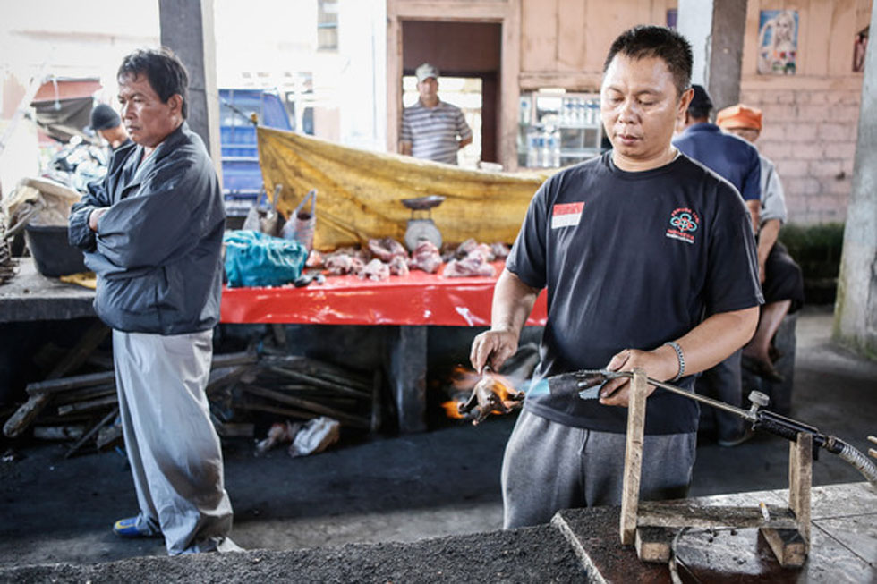 һλ̯�����ڿ�����