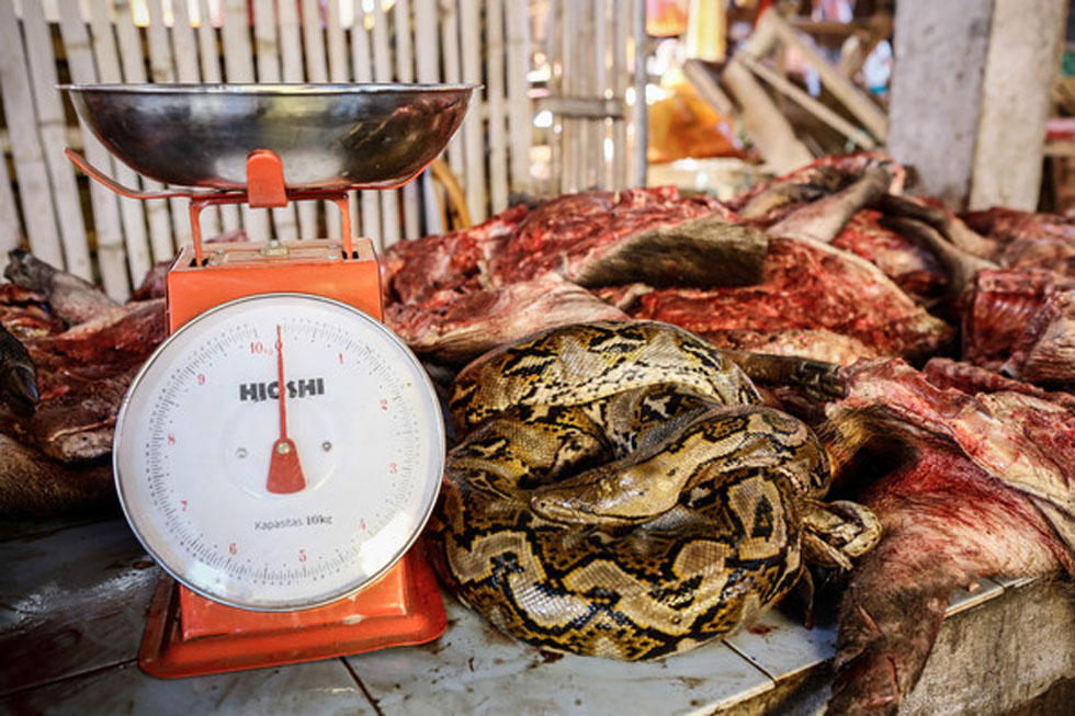 ̽��ӡ�ᴫͳ�г����ֳ��������ߵȶ���������