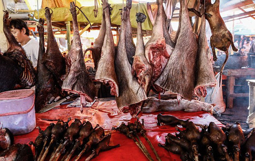 ̽��ӡ�ᴫͳ�г����ֳ��������ߵȶ���������