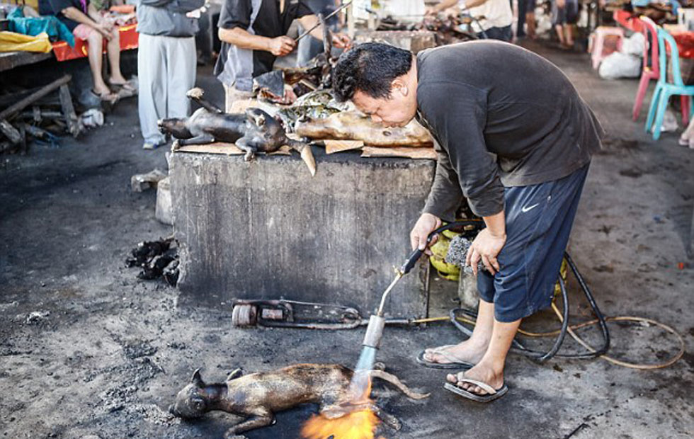 ̽��ӡ�ᴫͳ�г���һ�����������û�ǹ������