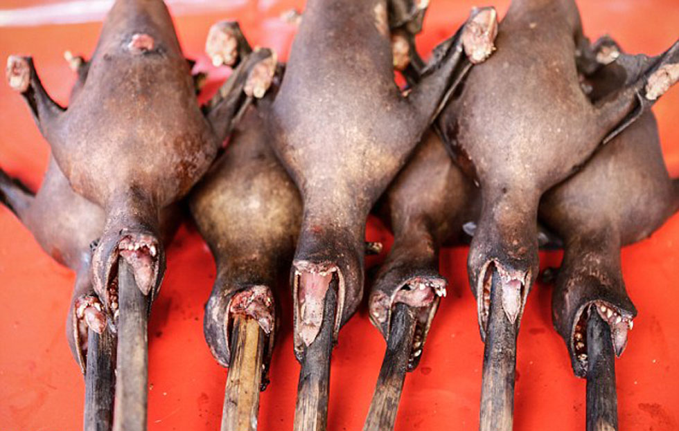 ̽��ӡ�ᴫͳ�г����ֳ��������ߵȶ���������