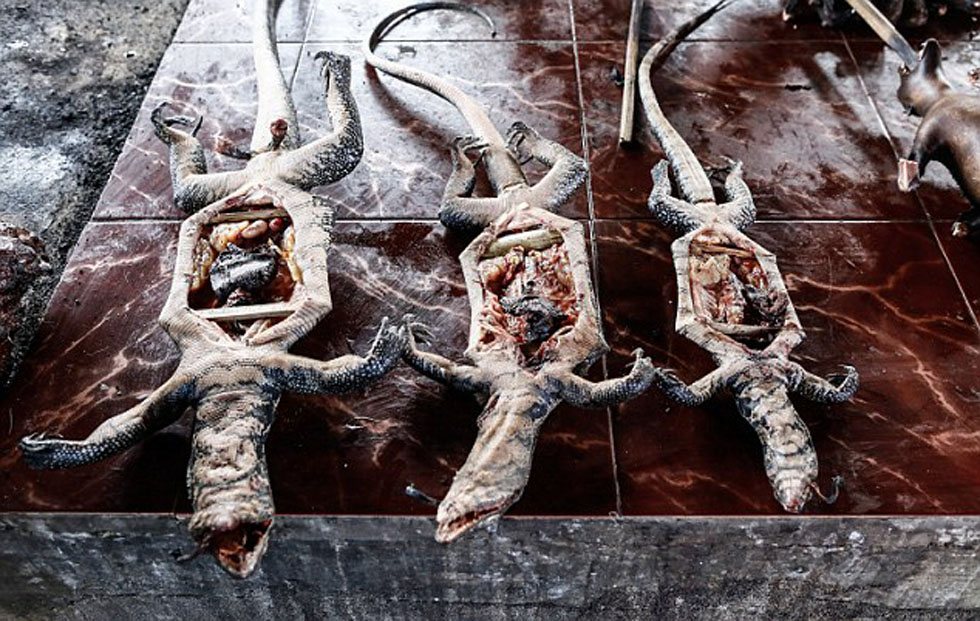 ���汻�������󱳳��ϡ�