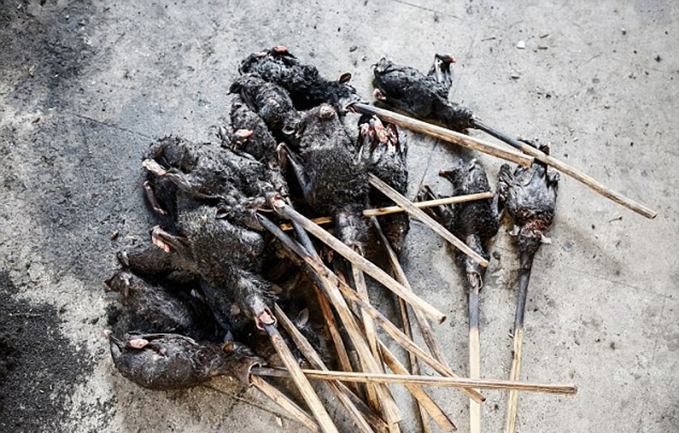 �������������