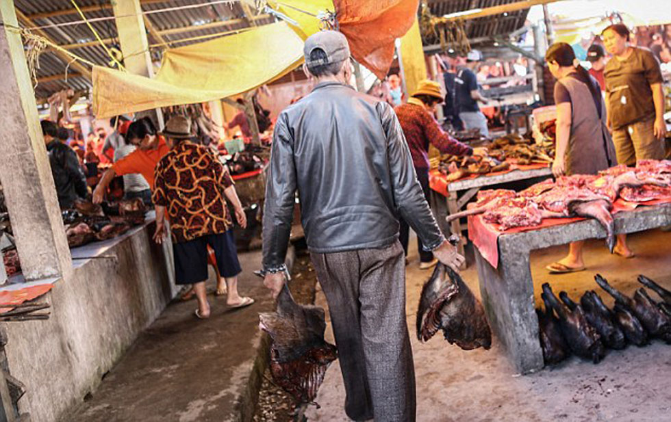 ̽��ӡ�ᴫͳ�г����ֳ��������ߵȶ���������