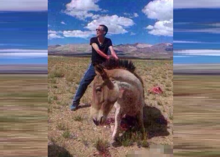 ��������ġ�Ű¿�С���ɱ��Ұ¿����Ƭ