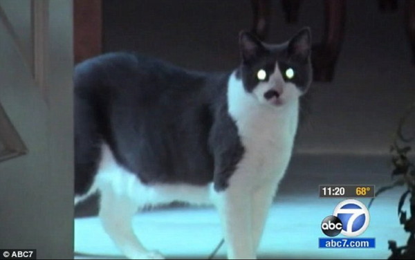 ŭñɡһë򡹵è䡸뿪ҡ