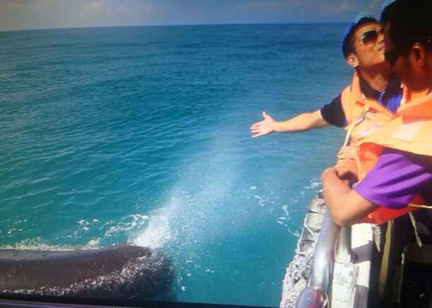 ̨�廨���;� Ĩ�㾨������ˮ