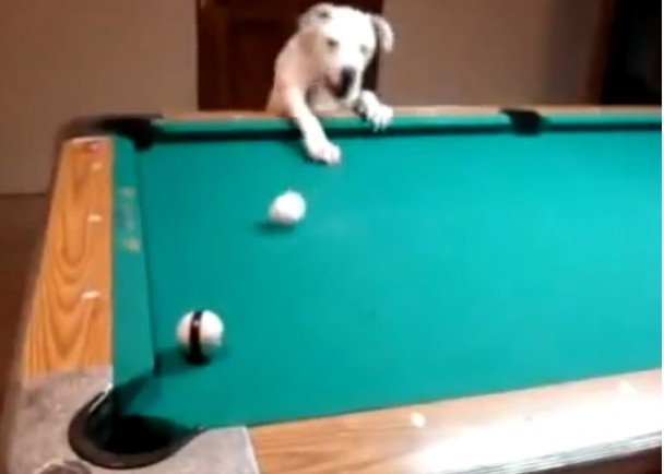 ��̨����Ȯ��ǰ�ȴ���