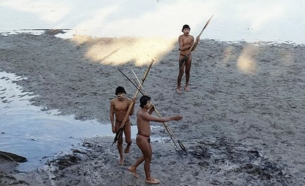 ��³����ѷɭ�ֵ�ӡ�ڰ���������ѹ��