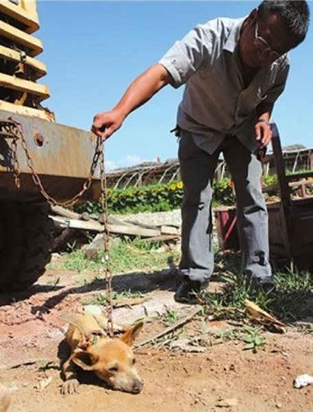 �����в�������ҧ��18ֻ�� �ƹ��ǹ��Ʋ�ǲ�