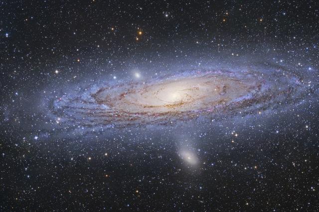 ��˾޴����������˴����