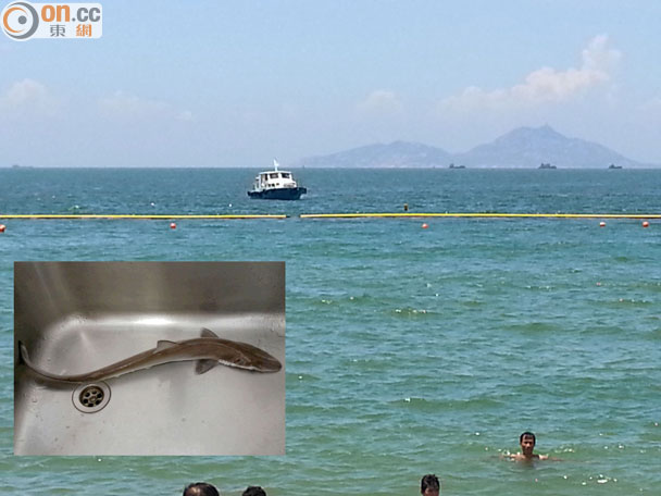 ѾʥүӾ̲ӾͲС裨βб裩