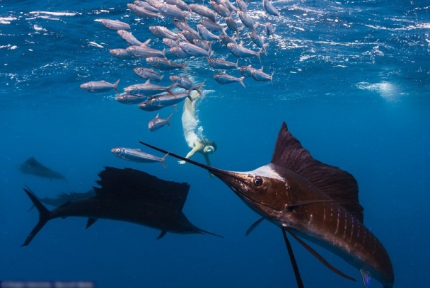 �������Ը�Ů�˶�Ա�����뾨��ȡ����ްԡ����๲��