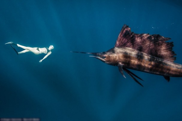 �������Ը�Ů�˶�Ա�����뾨��ȡ����ްԡ����๲��