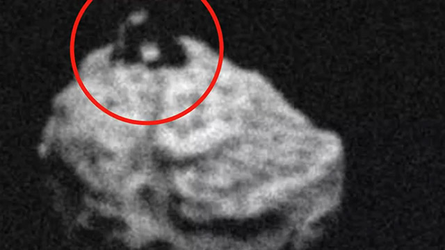 1999 RQ36С�����Ϸ��־��ͽ�������