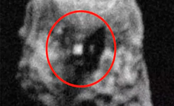 1999 RQ36С�����Ϸ��־��ͽ�������