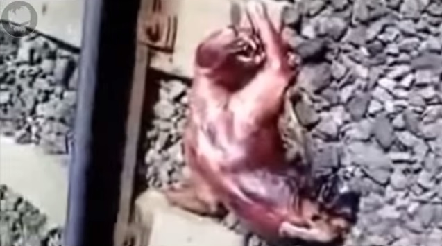 ����ײ������ֲ���������ʲô��