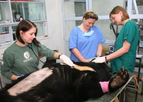 Ӣ������������֯����һ�����й��ɶ�����鵨֭�ĺ���