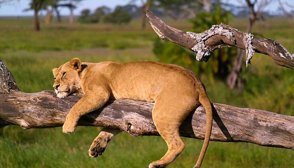 ̹ɣ׸ǵٹҹ԰һͷĸʨϴеĺ˯