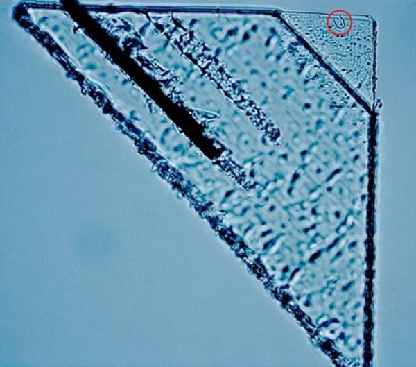 �ڡ��ǳ����ŷɴ��ռ����Ϸ��ֳߴ������Ǽʳ����ۼ���һ����35΢�׵Ķ�����һ��΢С�����泾���ڸ��ٷ���ʱײ���γɡ�