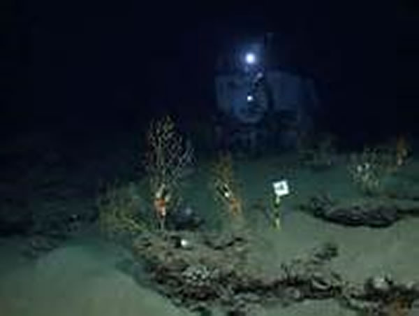 海洋表面扩散模式