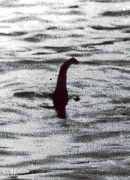 美国作家洛克斯顿与古生物学家普罗斯罗博士研究指出,尼斯湖水怪的传说很可能源自电影《金刚》中的神秘生物。图为曾被指造假的尼斯湖水怪照片。