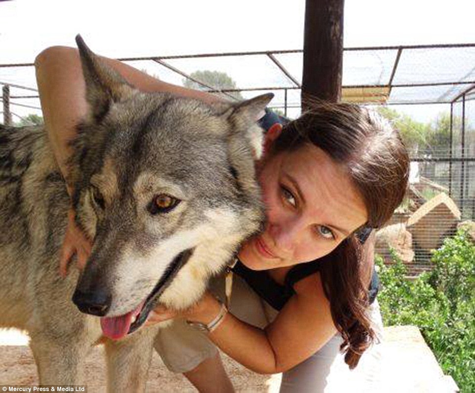 ������Ů�����붯��һ����ʣ��������ǡ����Ա�һ���ҹ