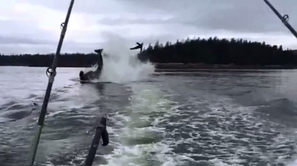 ��������˹��ɱ�˾���������˦β��һֻ��ʨ�׵�����