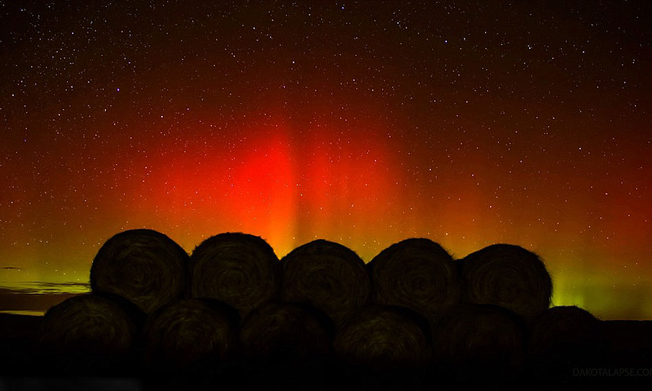 ��Ӱʦ���8��������һ��չ������������ǧ���򻯵�׳��ҹ��