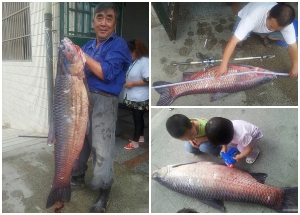 Ͼӵ83شƺ˻ ʡҲйأ