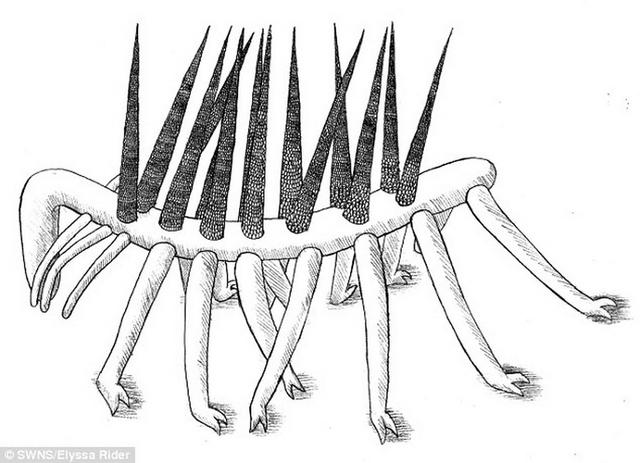 ӢŴѧѧоʾ5.05ǰִֵ޳ǡס