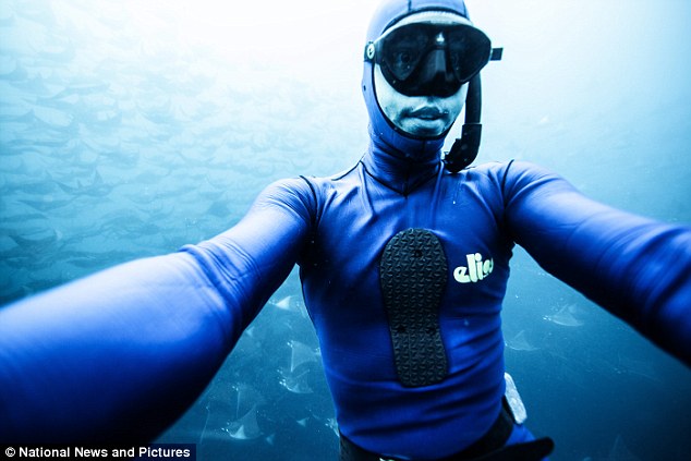 墨西哥潜水员在巴哈海岸18米深海与魔鬼鱼玩自拍