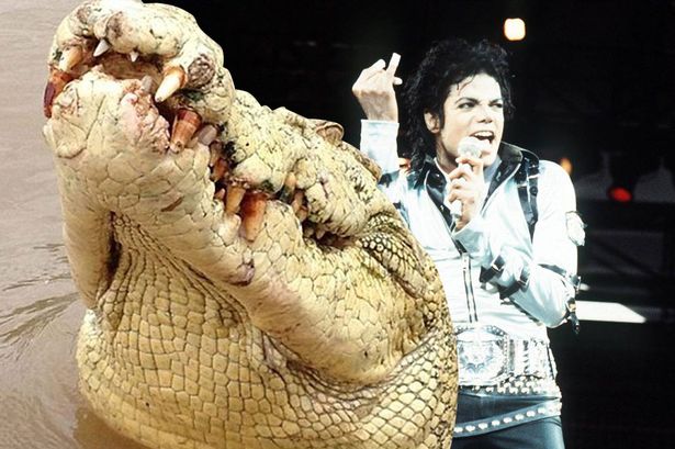 澳大利亚河中巨鳄“迈克尔•杰克逊”因吃人被警方击毙