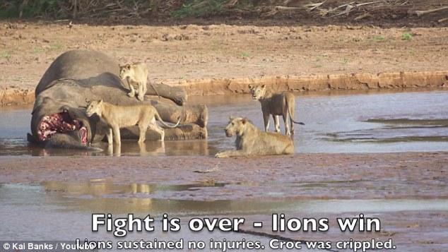 SamburuҰﱣͷʨӴս