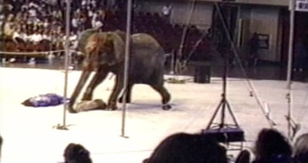 ������Ϸ�Ŵ�����ܲ���Ű��Ź������ڼ�ͻȻ����