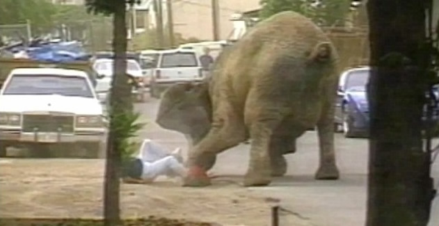 ̩���ӵ����ϣ����˶���;�ˡ�