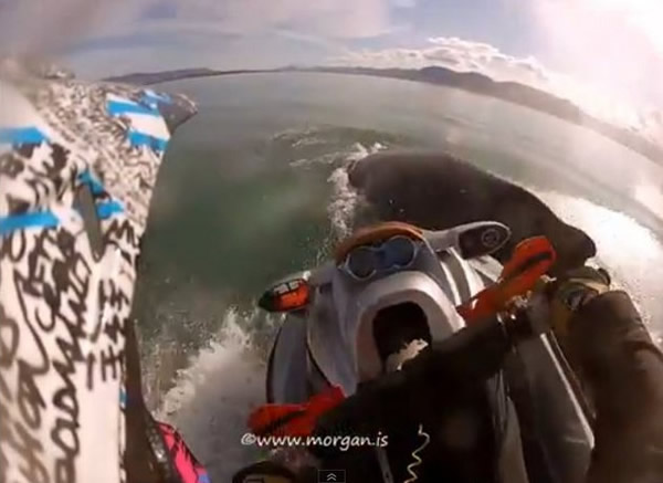 冰岛玩水上摩托意外撞到浮出水面的座头鲸