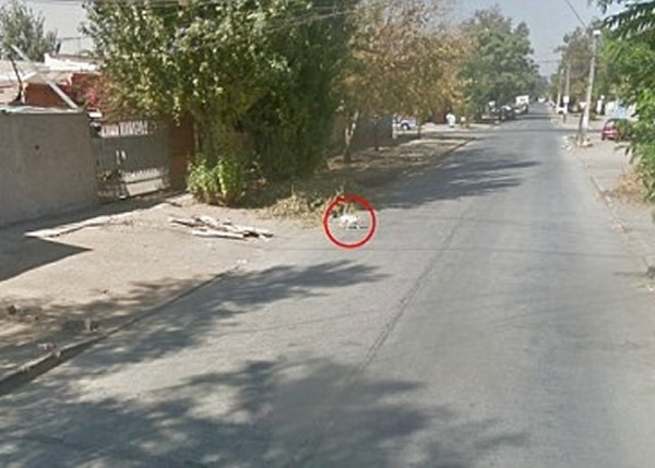 ���־���ʻ������һ���ֵ�ʱ��С�����󷽳��֡�