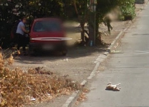 ��Ƭ��ʾС�����ڵ��ϣ��ƺ���������������