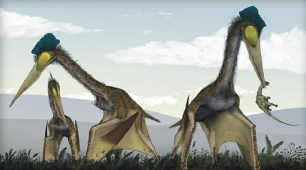 “无牙翼手龙”或在白垩纪晚期统治地球