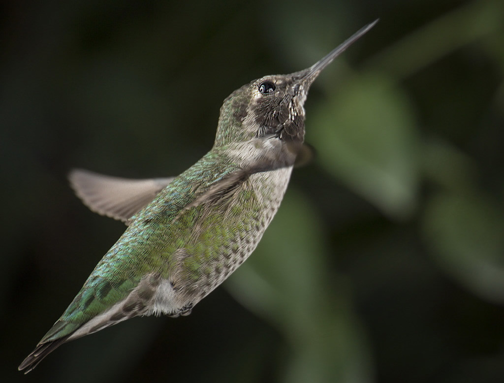 ���о����ַ�����һ��ת���ζ��������������