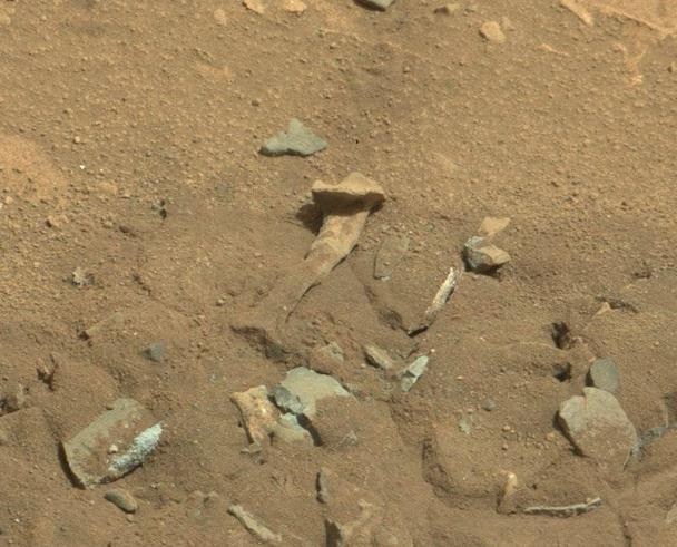 ��ı������Ϊ������Ѿ��ڻ��Ǳ������㵽���������˹�ͷ����Ƭ