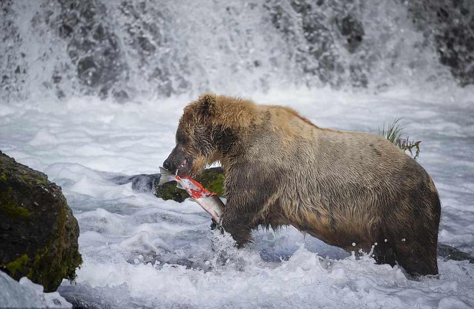 ��������˹�ӿ��������ҹ�԰���ܲ�����