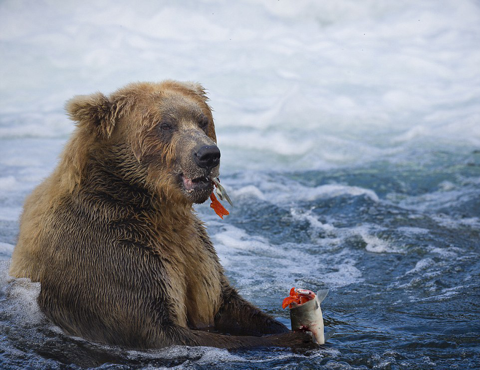 ��������˹�ӿ��������ҹ�԰���ܲ�����