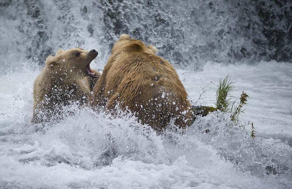 ��������˹�ӿ��������ҹ�԰���ܲ�����